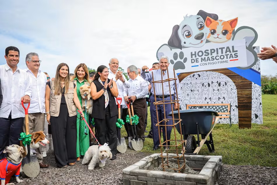 Construction Begins on the $14.1 Million Dog and Cat Hospital Awarded to the Company Restoring the Diplomatic Villa