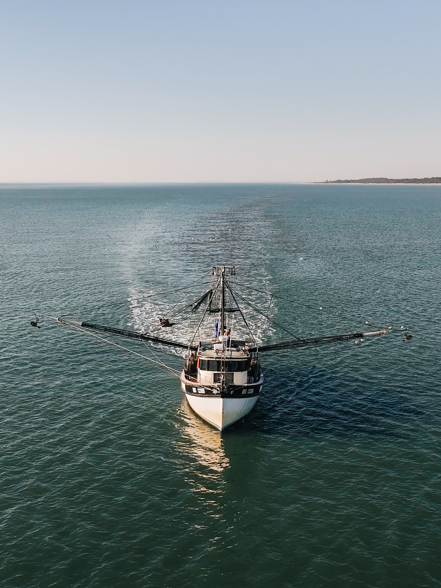 DNA testing shows Golden Isles restaurants serve American shrimp
