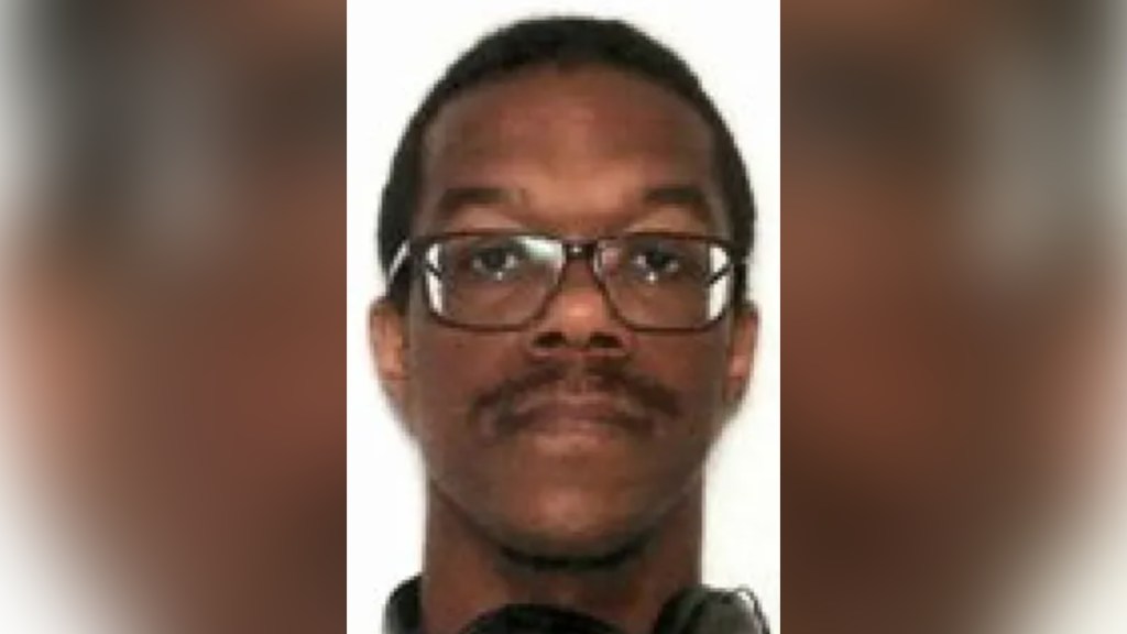 DNC, RNC pipe bomb suspect blamed both parties: feds