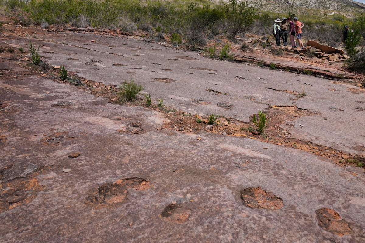 Discovery of record dinosaur footprints to reveal secrets of two-legged giants