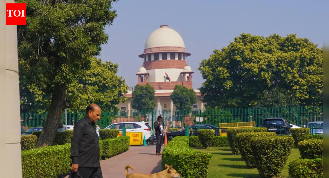 EC can't determine voter's citizenship, but surely inquire into it: Supreme Court | India News