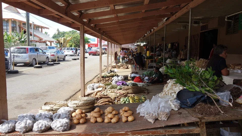 Economy shows mixed signals as inflation rises and remittances fall, NRBT report