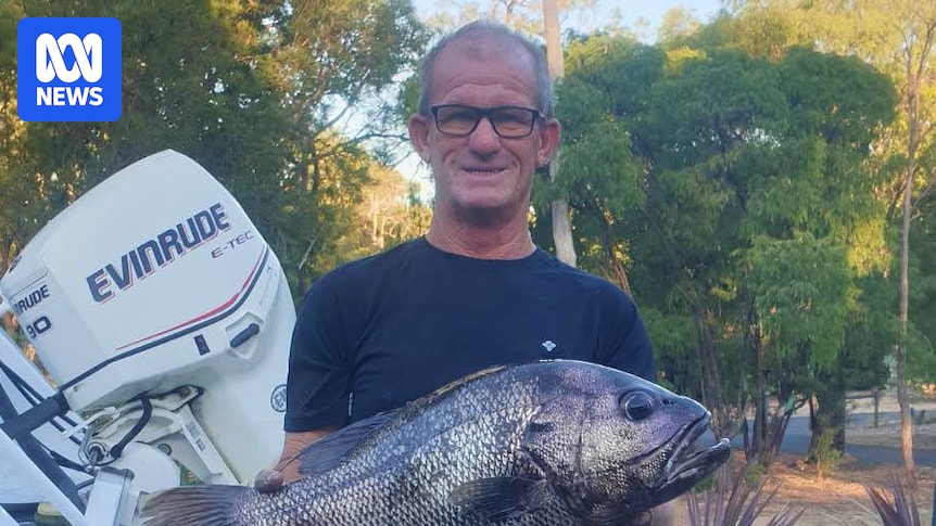 Family of missing diver Michael Quadrio pleads for search to resume off WA coast