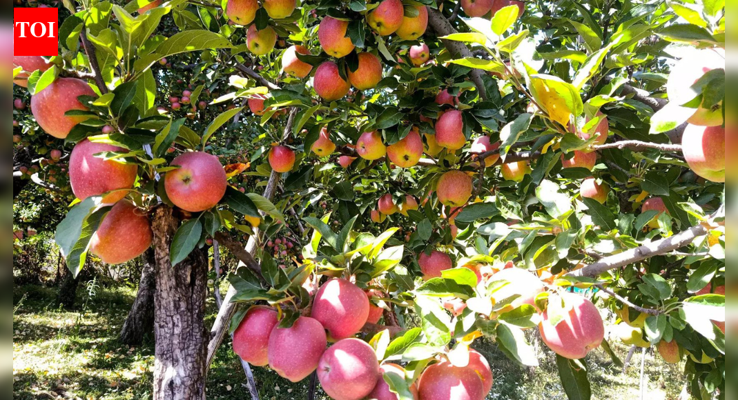 First time after ‘apple orchards-cancer report’, Kashmir leaders meet to discuss ‘grave’ issue, form policy | India News