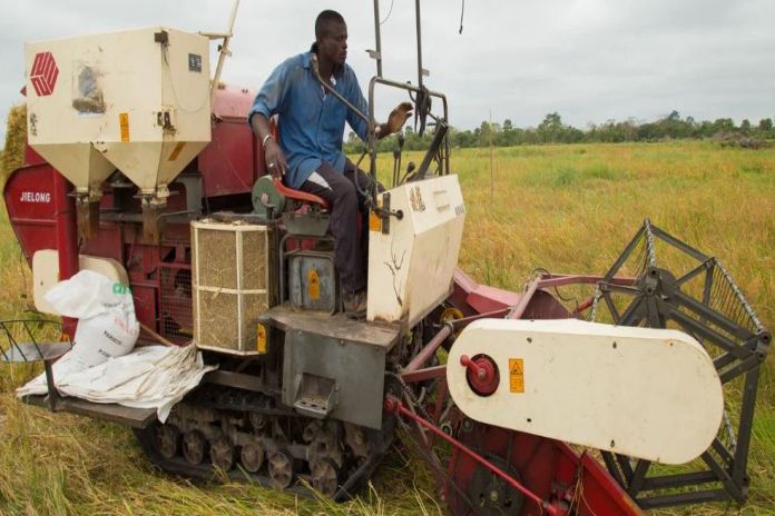 Five questions that matter for jobs in agriculture and food