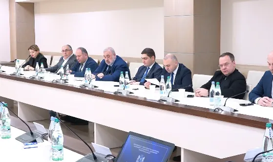 Georgia holds meeting on Missing Persons from Armed Conflicts