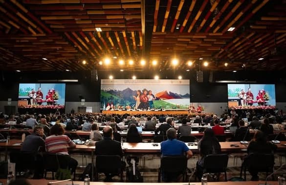 Georgia takes part in UN Food & Agriculture Treaty Talks on Plant Resources