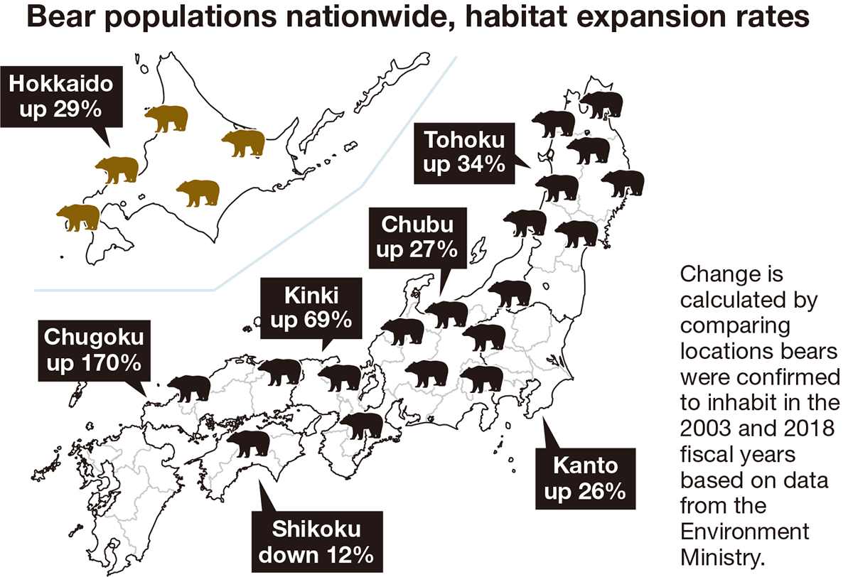 Govt to Take Lead on Bear Population Surveys to Help Tackle Rise in Attacks