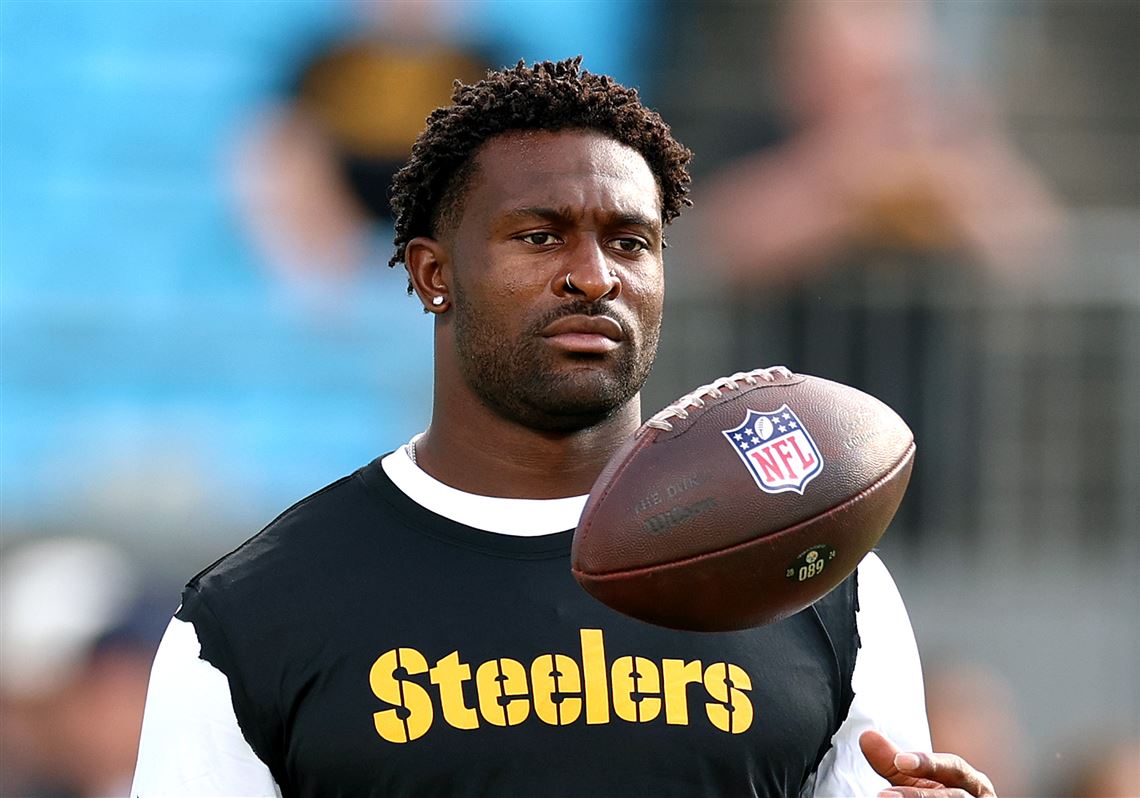 'He's really, definitely not a diva': Steelers embrace DK Metcalf's time to speak up