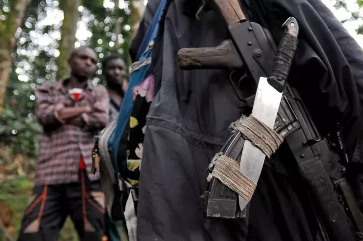 How Come Kinshasa's “Nonexistent FDLR” is Releasing War Statements