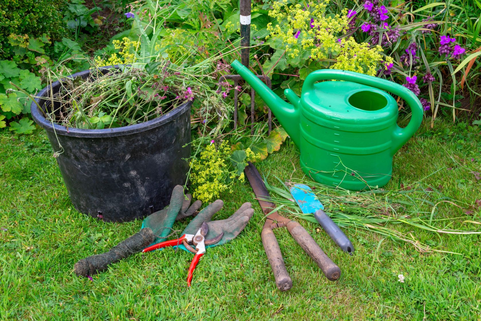 How to make your urban plot feel like the countryside