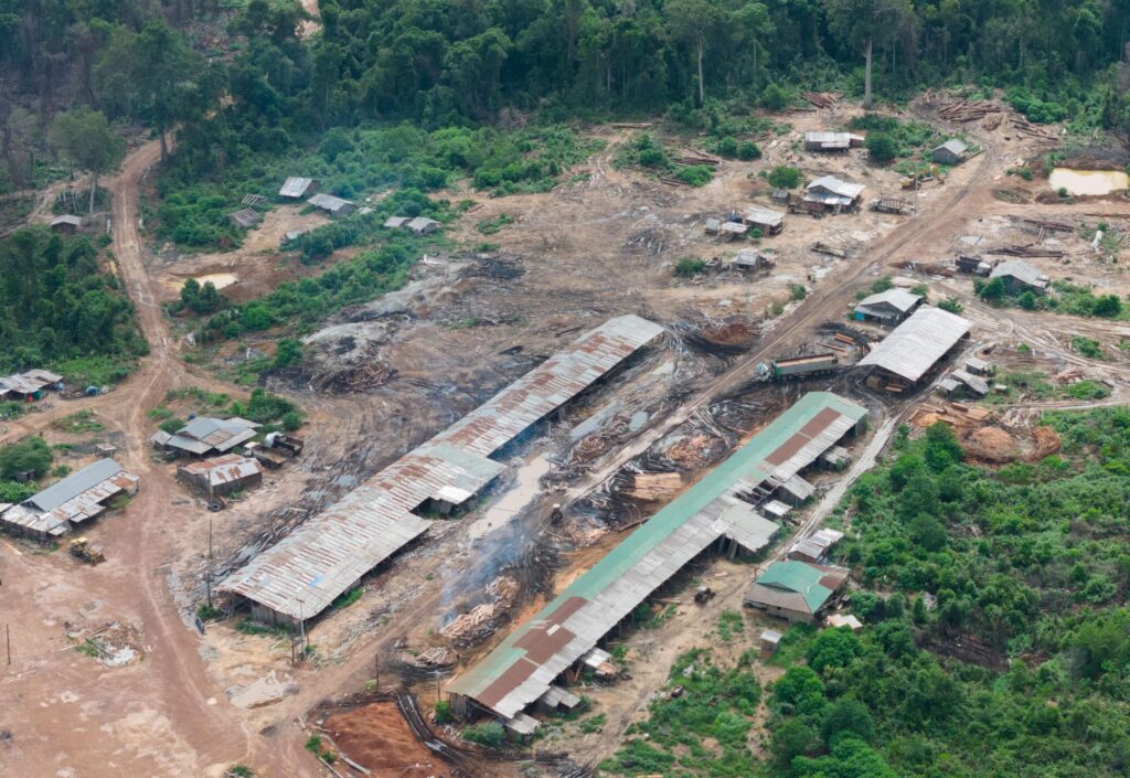 Illegal Logging in Cambodia Continues Despite Government Pledges, Activists Say
