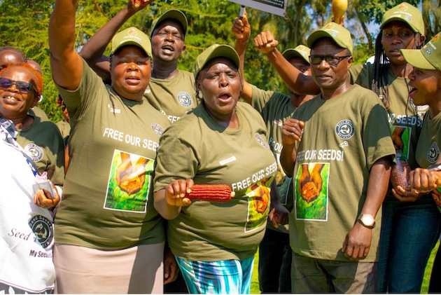 Kenya: Landmark Ruling Restores Seed Freedom