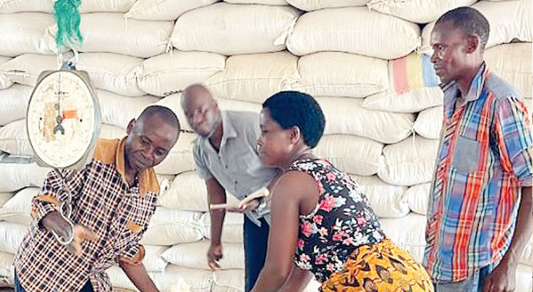 Malawi maize sold to Zambia