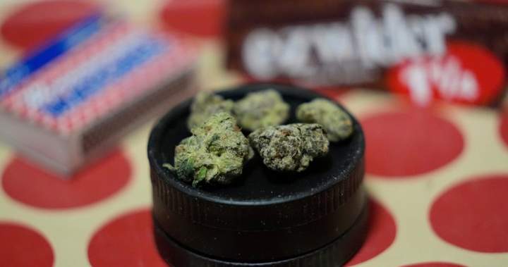 Mi’kmaq chiefs, former attorney general disappointed with N.S. cannabis directive - Halifax