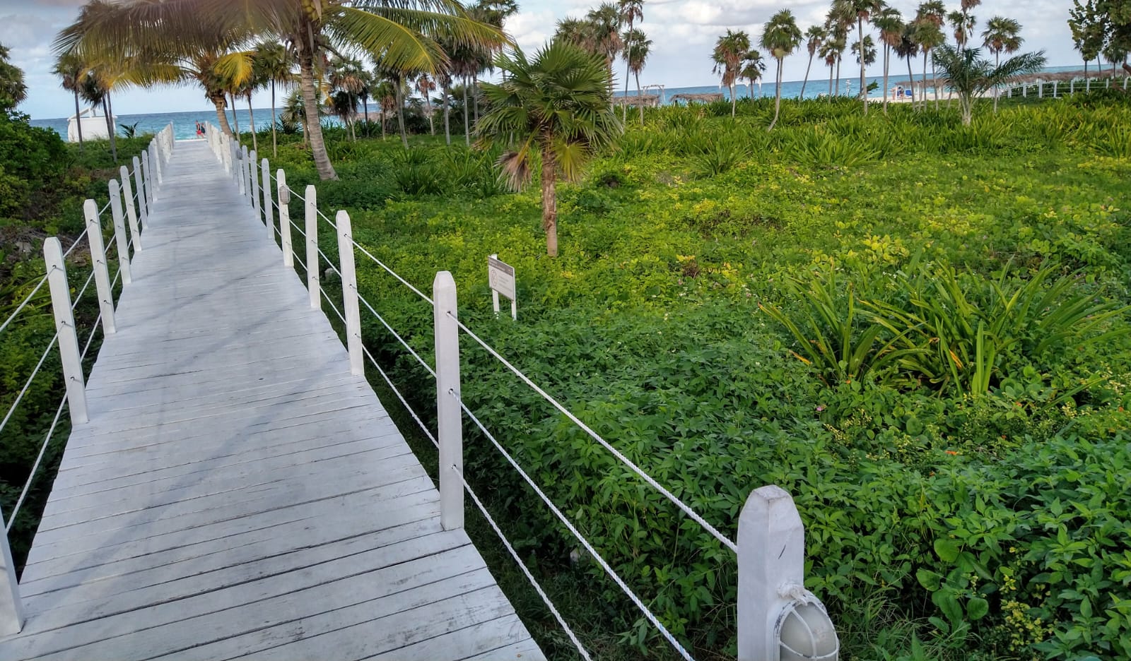 Near the Sea, Cayo Coco, Cuba - Photo of the Day
