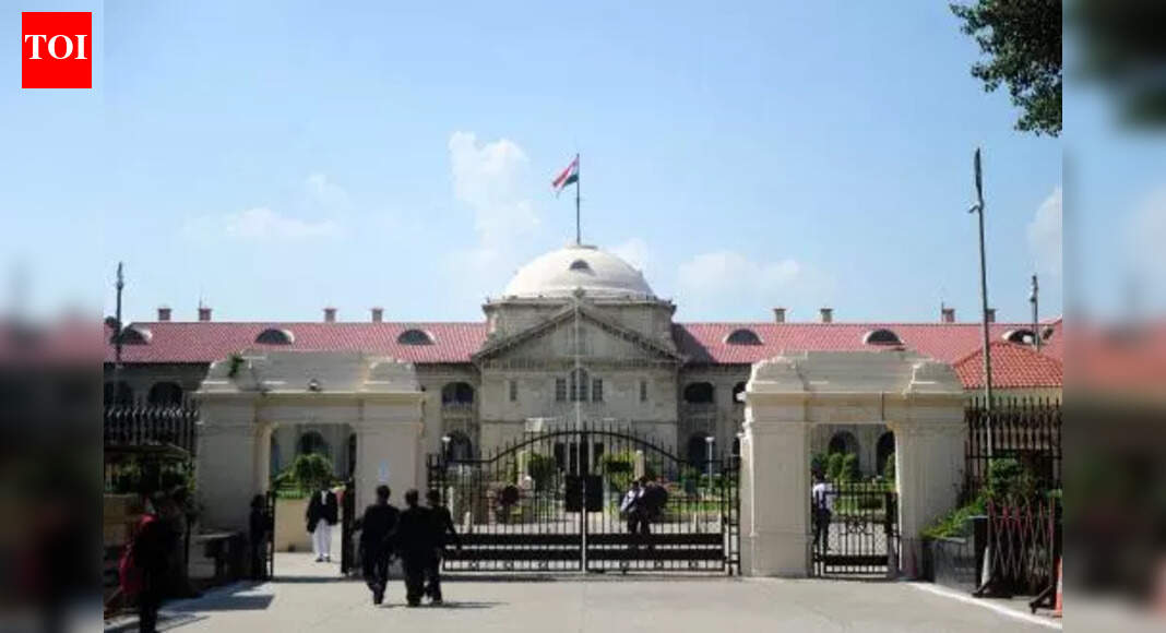 Need to check trend of false promisesof marriage to exploit women, says HC | Prayagraj News