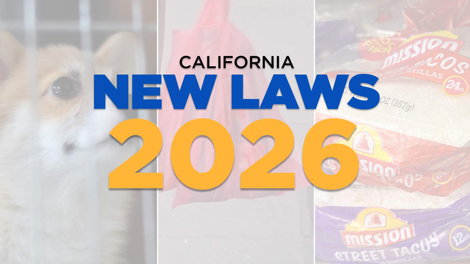 New California laws going into effect in 2026 ban plastic bags, affect your streaming services and give more control over chatbots