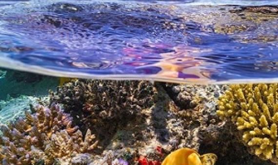 Ocean Management Act 2025 enacted to strengthen ocean governance across Tonga's vast marine domain