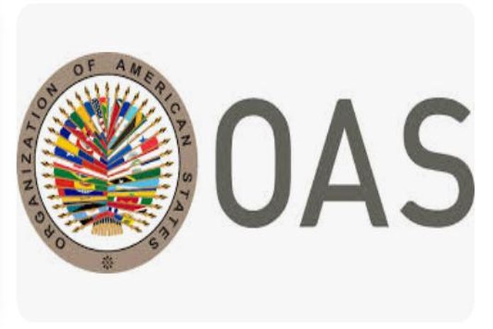 Over 100 people in Honduras benefited from the MIRPS Fund Project of the OAS General Secretariat
