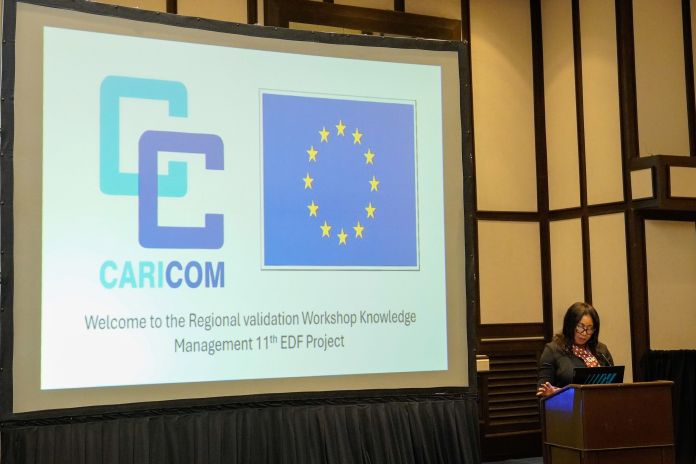 Regional Information Technology stakeholders review CARICOM Knowledge Management Web Portal and Framework
