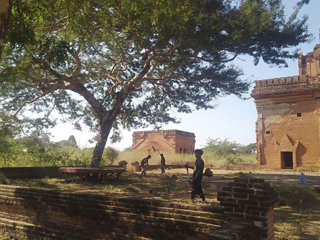 IMG 20251202 161940 262