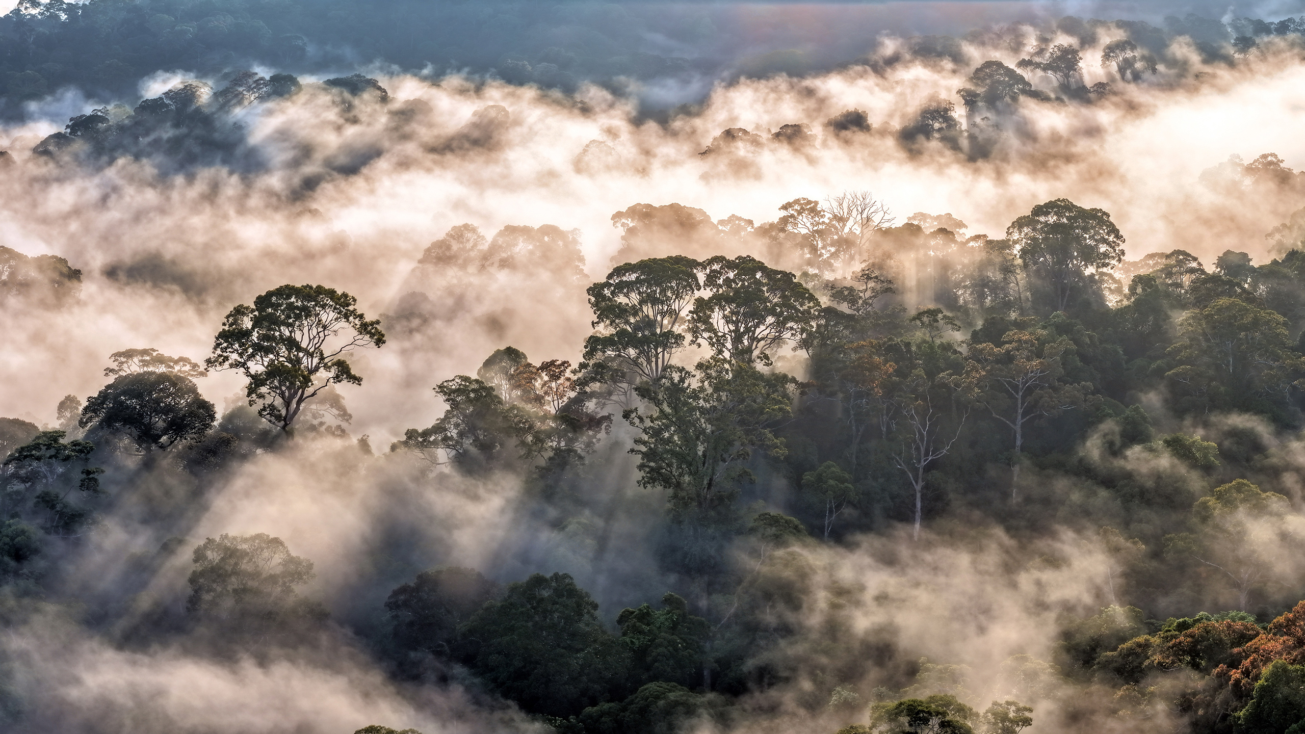 Rethinking how we talk about conservation—and why it matters