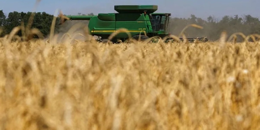 Russia cuts grain export duties to zero as global prices decline; effective Dec 10
