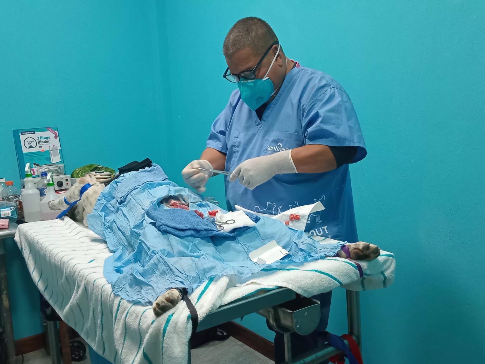 SAGA Nears 1,400 Surgeries Following Successful 2025 Campaigns