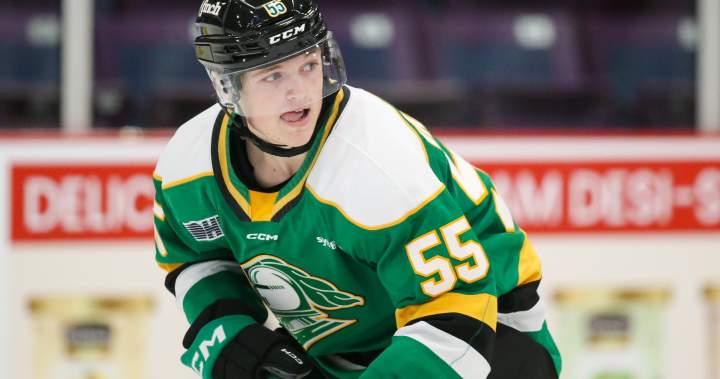 Seb Gatto shuts out Barrie Colts as London Knights head into holiday break with 3rd straight win - London