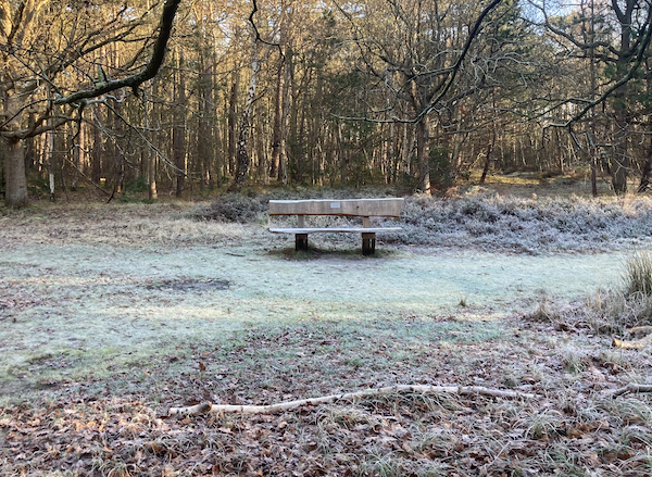 Sunny but bitterly cold Christmas, milder weekend with cloud