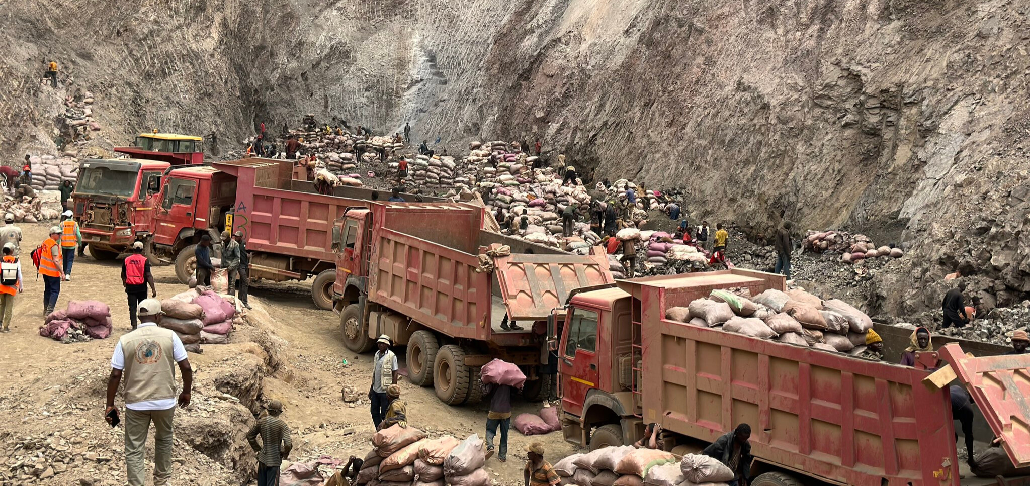 The hidden toll of green energy