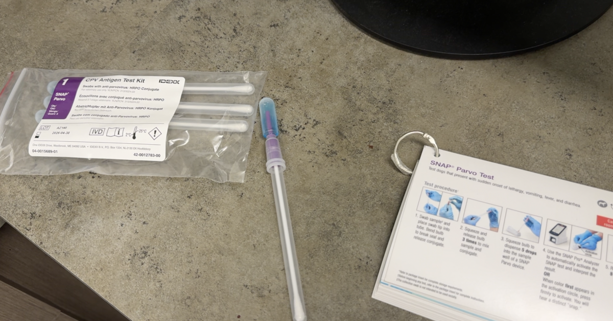 Unusual increase in parvo cases in Arizona for this time of year