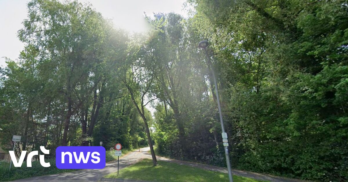 Verdachte verkrachting Kortrijk mogelijk verantwoordelijk voor minstens 2 eerdere verkrachtingen