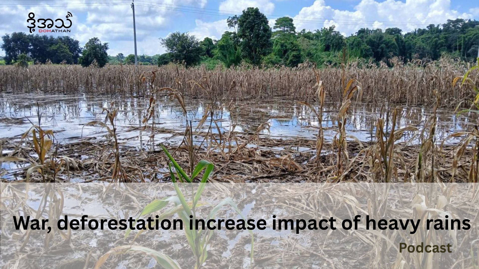 War, deforestation increase impact of heavy rains