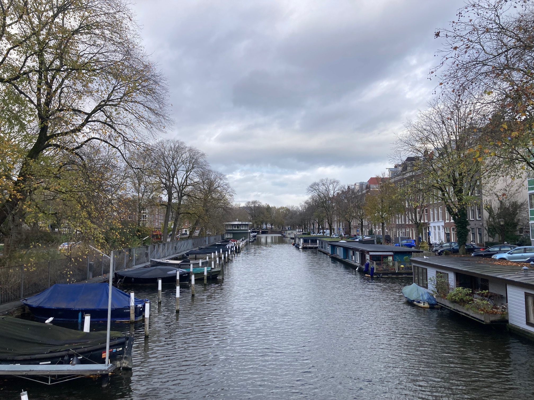 Weekend will bring milder but still mostly cloudy weather