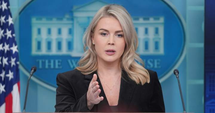 Woman with family ties to Karoline Leavitt released by ICE - National