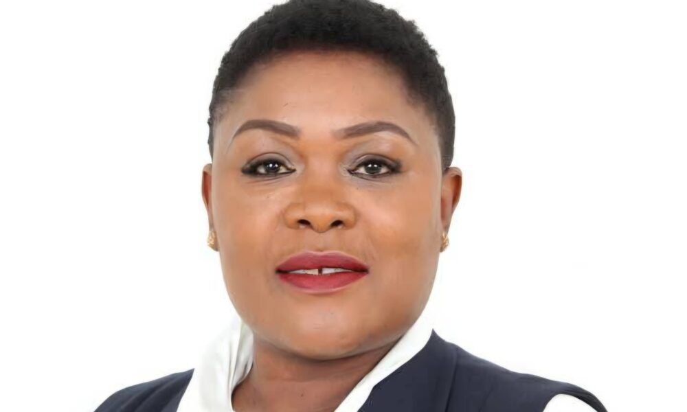 ZEMA clears backlog of development projects following new Board appointment.