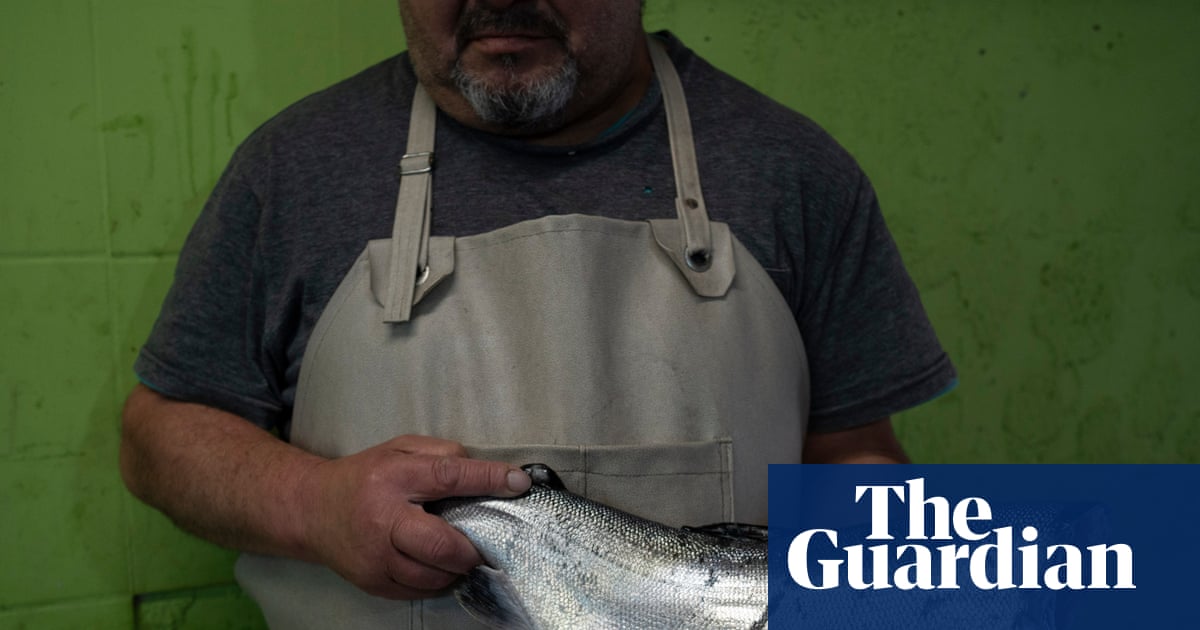 ‘Those who eat Chilean salmon cannot imagine how much human blood it carries with it’ | Chile