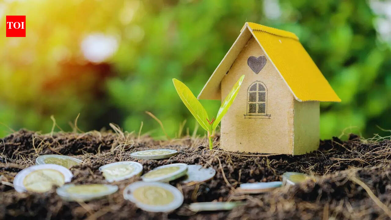 8 important things to know before investing in land