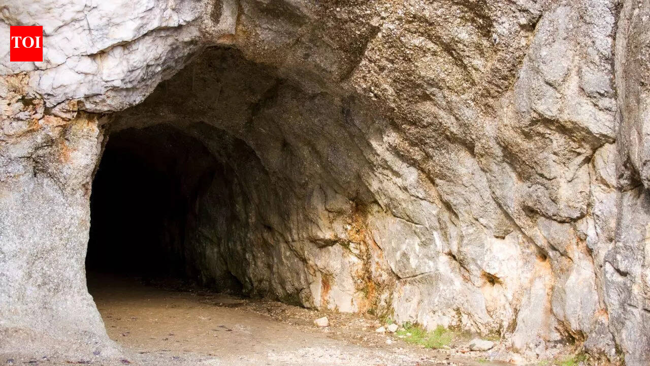 Almost human-like creatures may have lived alongside humans in the Leang Bulu Bettue caves |