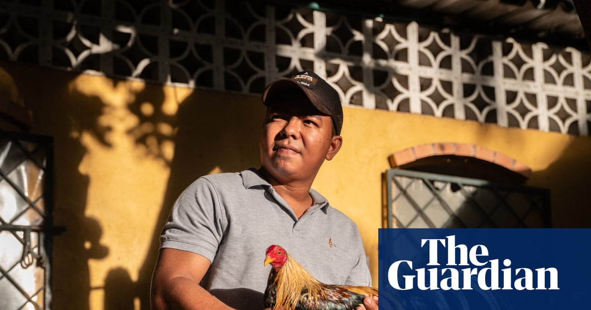 As Colombia moves to outlaw cockfighting, a bloody night unfolds in Cartagena | Colombia