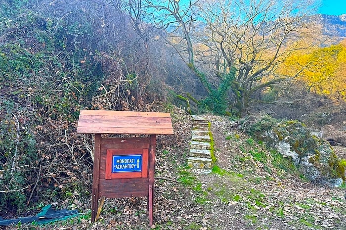 acient greek healing herbs