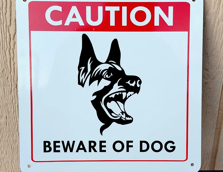 Beware of Lusaka dogs - Mwebantu