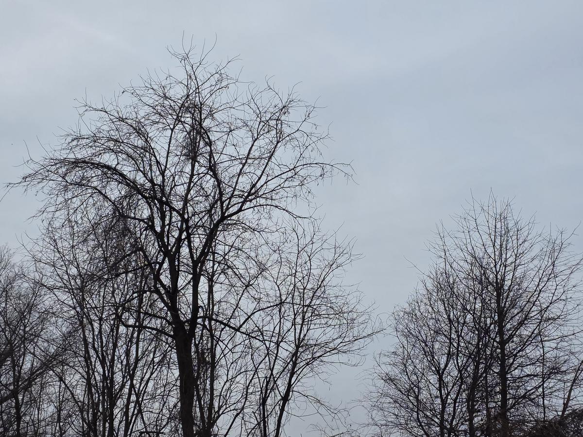 Cloudy skies and seasonable temps Tuesday, damp night