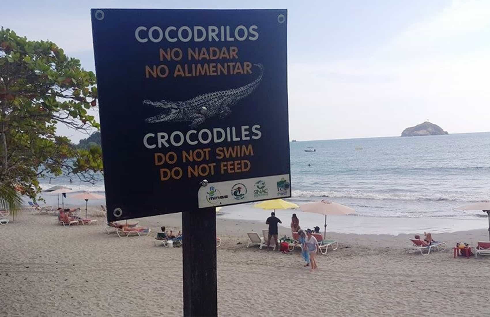 Crocodiles Share Waves with Surfers at Costa Rica's Popular Breaks