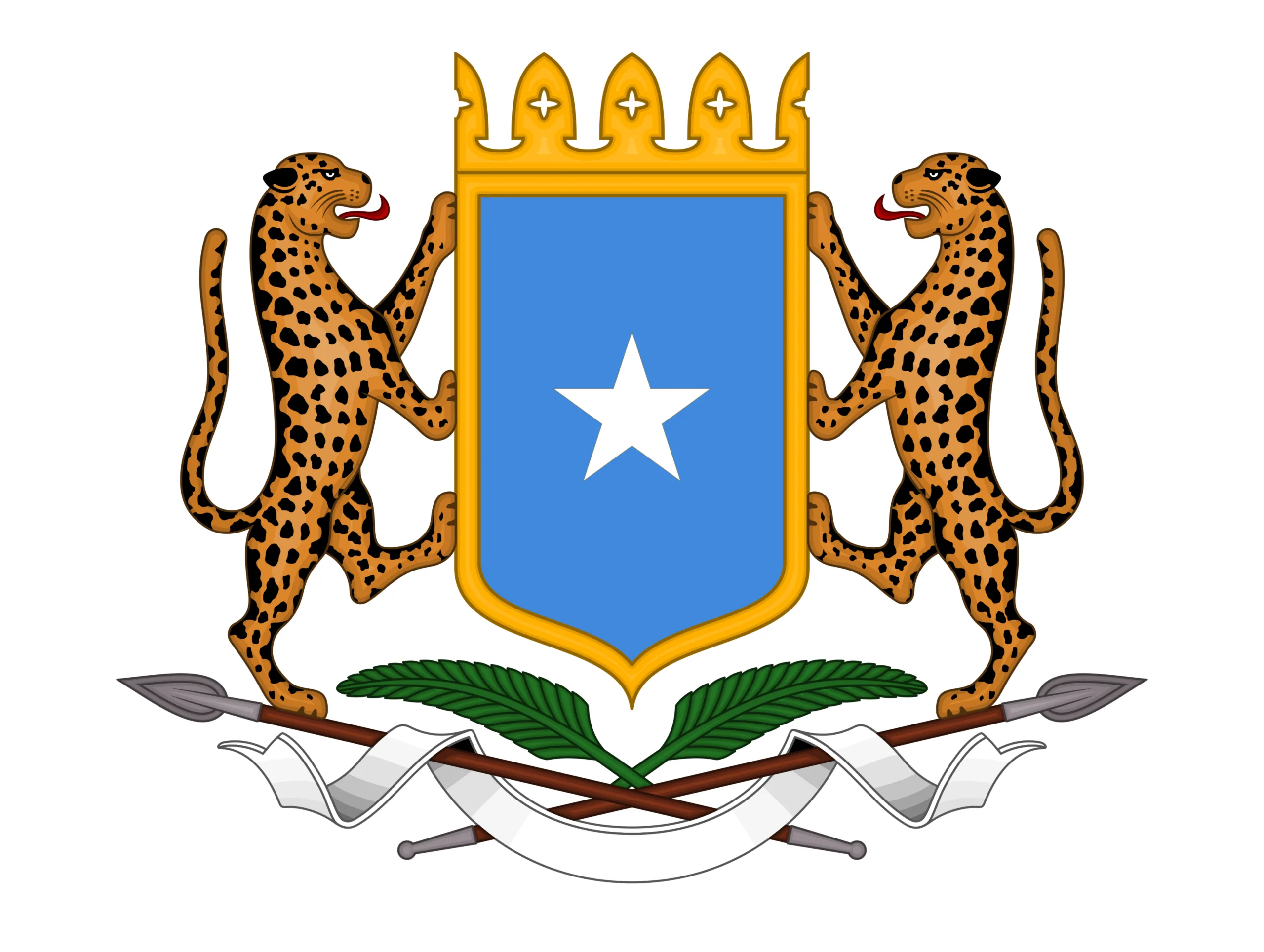 DF oo war ka soo saartay xayiraadda la sheegay in ay saartay diyaaradaha Israel