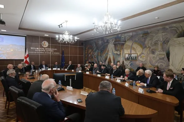 David Gurgenidze presents a report at Presidium session