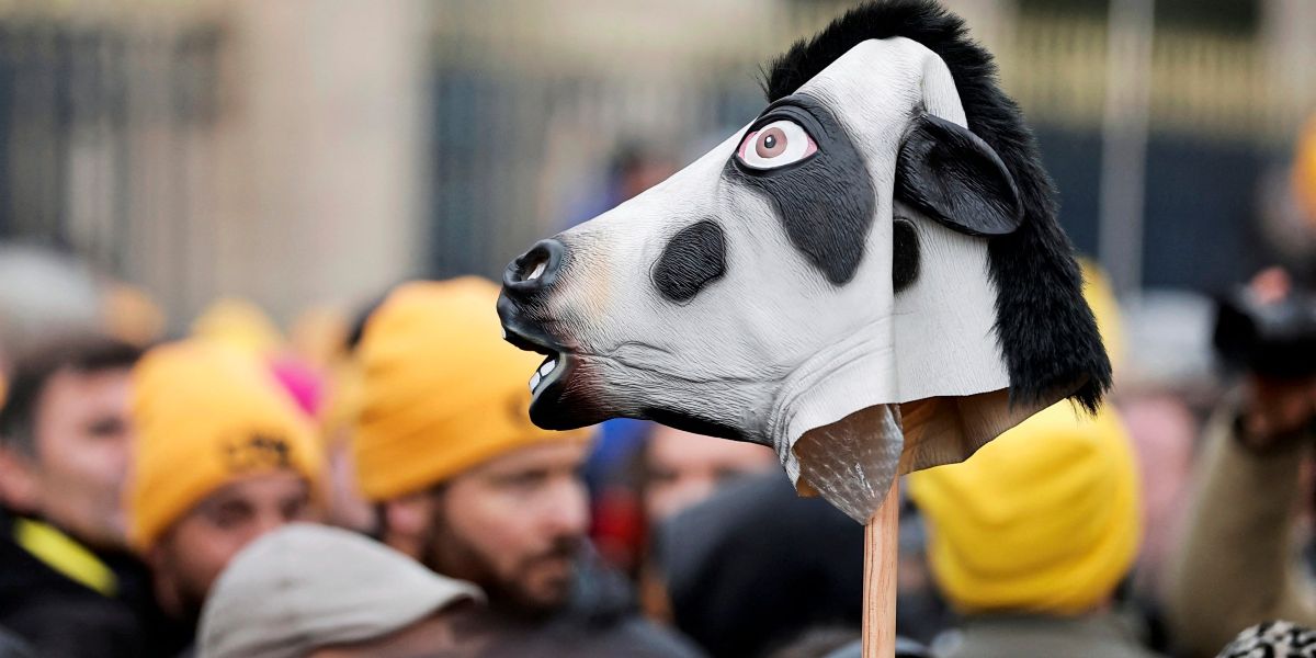 Der umstrittene Mercosur-Handelsdeal ist zum Greifen nah - Wirtschaft