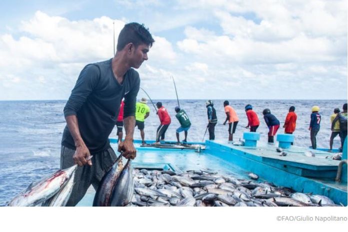 FAO welcomes new treaty on safeguarding marine biological diversity in international waters
